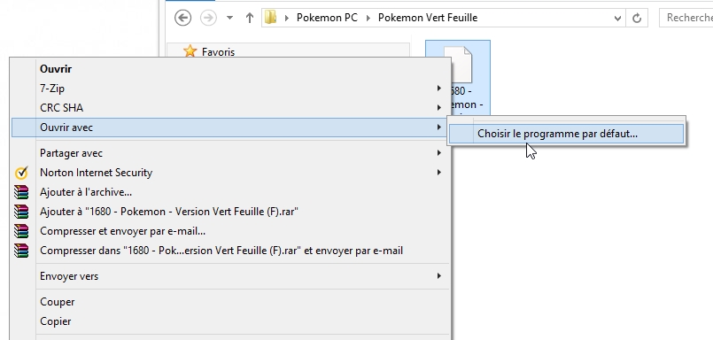 Choisir un programme par default - Pokemon